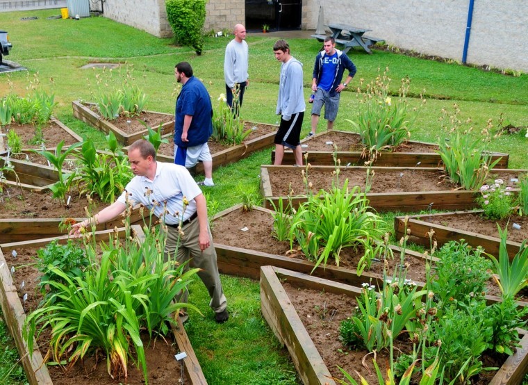 Hospice Flower Power project starts this week News
