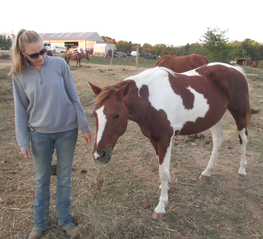 Bella Run Fun Show nets funds to rescue horses from Ohio 'meat auction