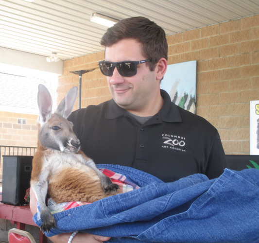 Kangaroos and leopards enthrall Indian Mound audience News