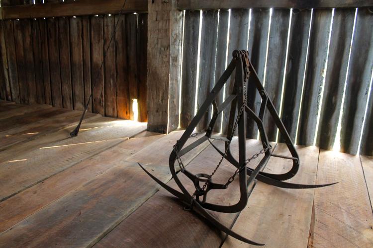 Locust Valley Farm Photo Gallery