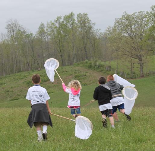 Youngsters learn about sustainable practices at Chesterhill Produce ...