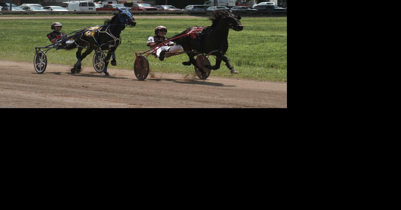 County fair fosters community support for local children