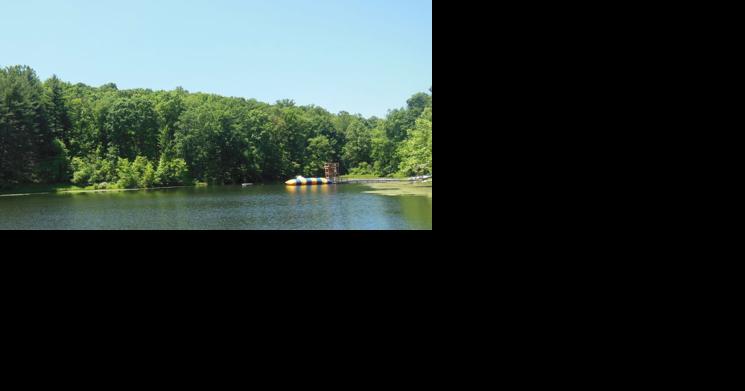Former church camp site will see some logging - Vimarsana News