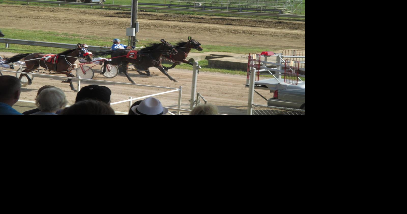 Life of a successful harness racing driver | News | athensmessenger.com