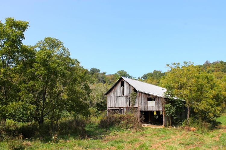 Locust Valley Farm Photo Gallery