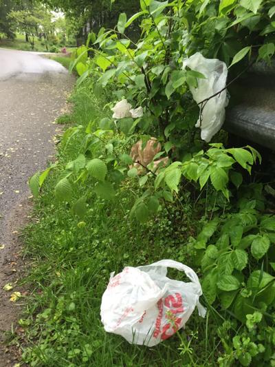 plastic bags