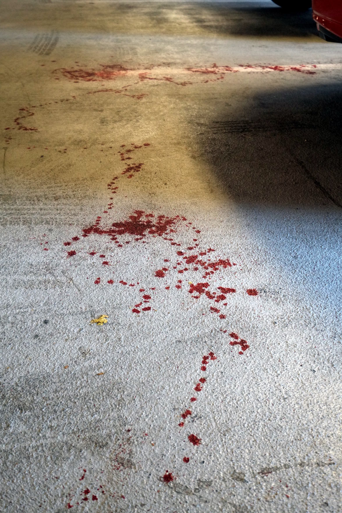 Wiegedood There's Always Blood At The End Of The Road Blood trail down Court Street sidewalk leads to parking garage