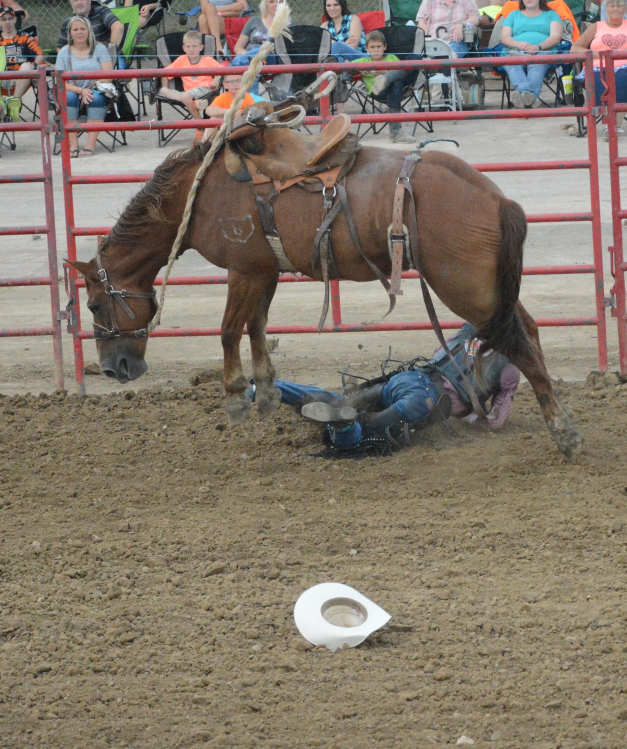 Athens County Fair Rodeo An incredibly wild ride & more