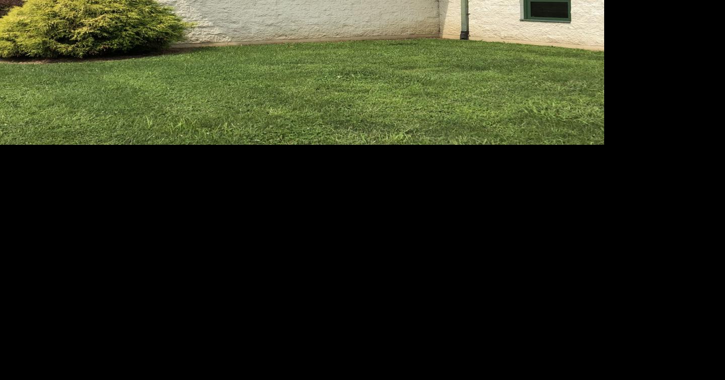 Dog warden criticized by county Commissioners; claims work overload