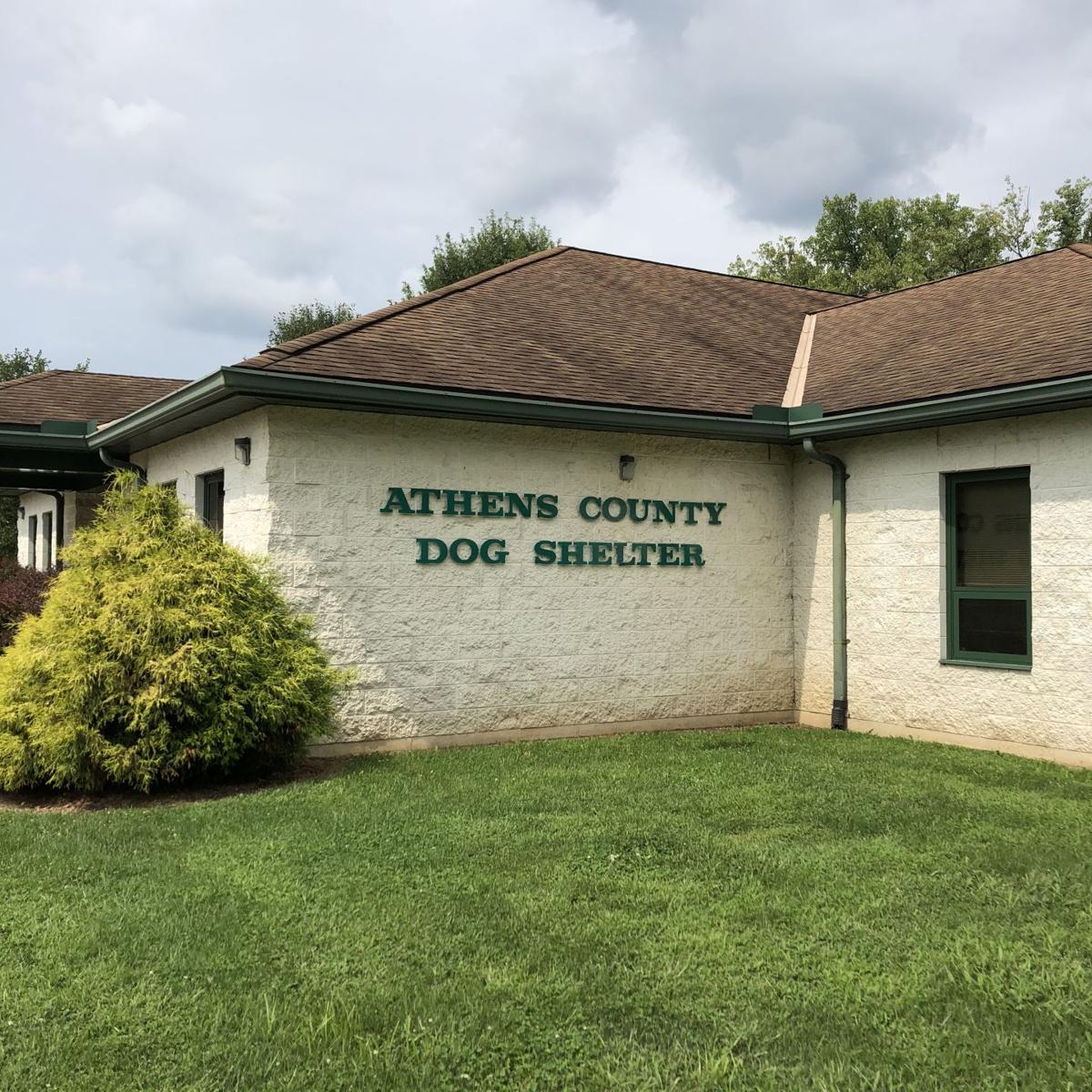 Dog warden criticized by county Commissioners; claims work overload