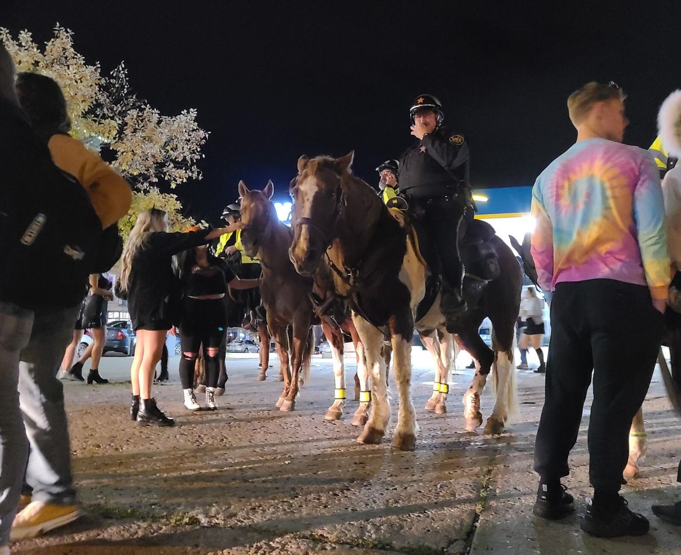 Horses hittin' the bricks