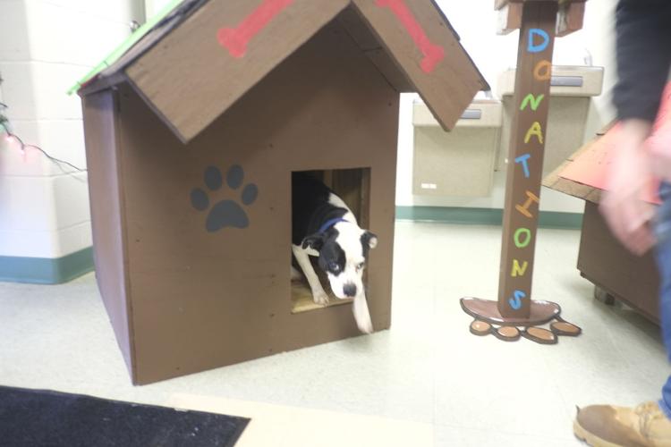 Correctional facility residents building houses for cold dogs Local