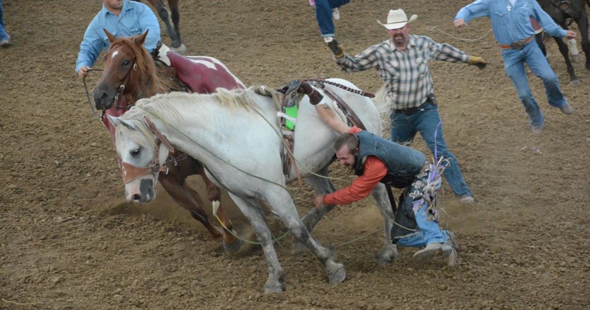Athens County Fair Rodeo: An incredibly wild ride & more | | athensnews.com