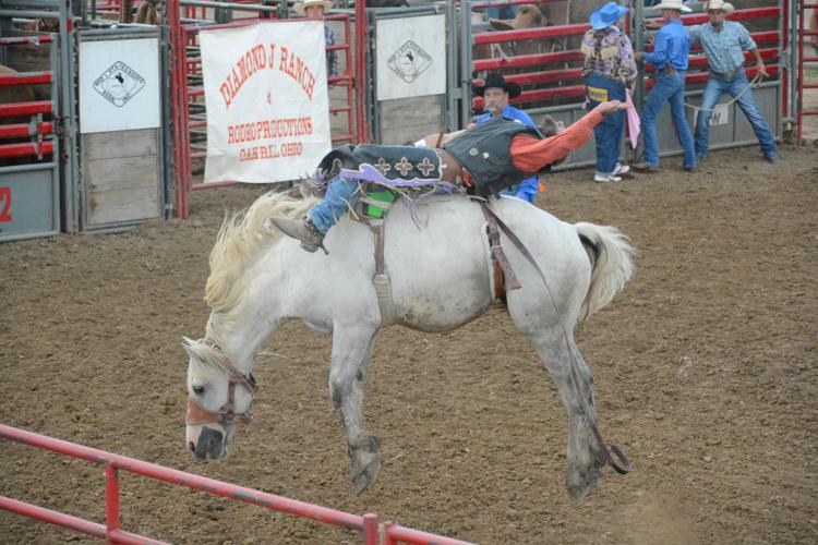 Athens County Fair Rodeo An incredibly wild ride & more