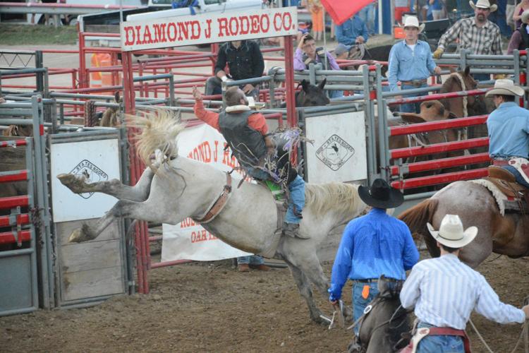 Athens County Fair Rodeo An incredibly wild ride & more