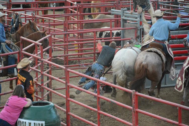 Athens County Fair Rodeo An incredibly wild ride & more