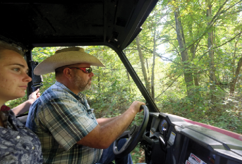 Local resort blasts clear-cutting plan