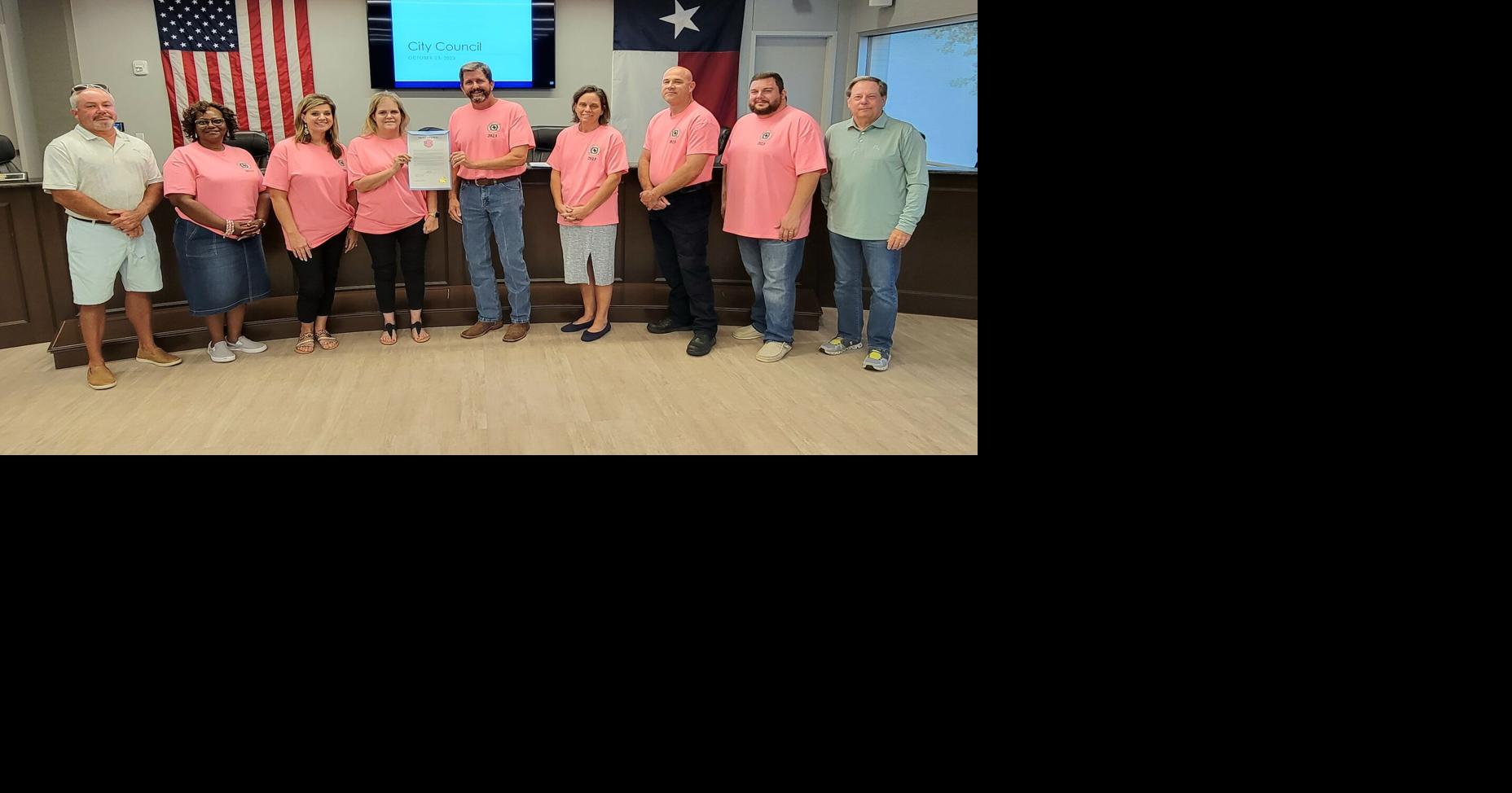 Mayor Smith declares ‘Pink Out Day’ in council meeting | News ...