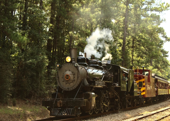 Piney Woods Express Steam