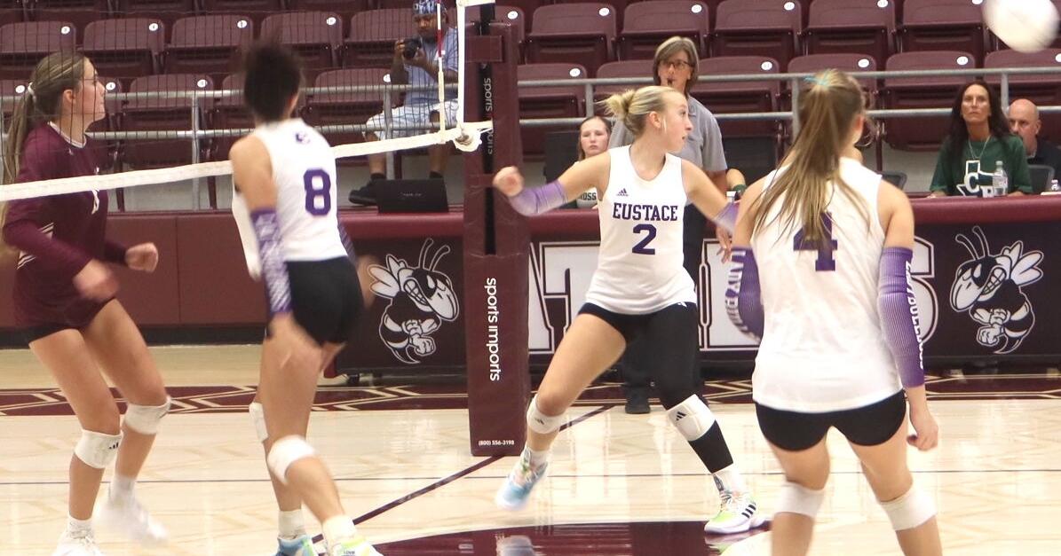 Sports: Henderson County Volleyball notes