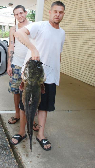 fish.jpg