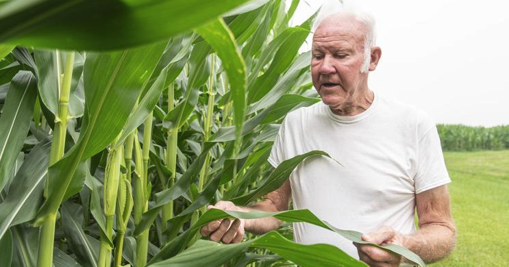 Financial health of American farms 'strained' by many factors