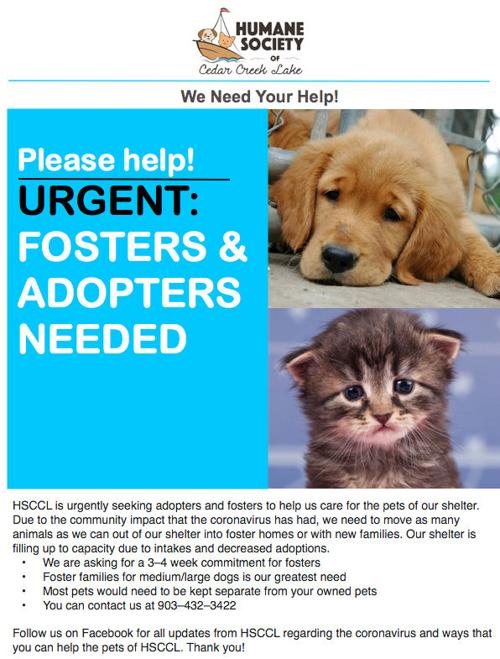 Bissell Pet Foundation Assists Shelters With Reduced Adoption Fees News Athensreview Com