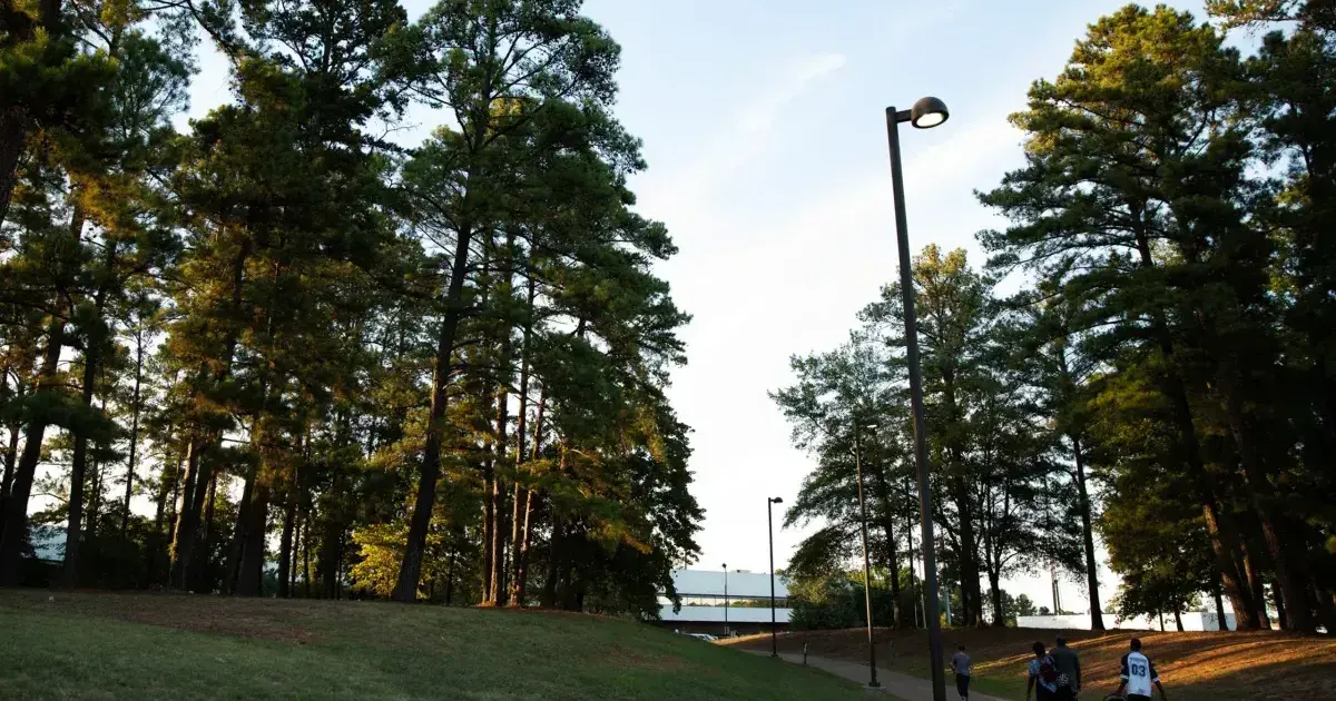 East Texas counties move to protect groundwater with new conservation district