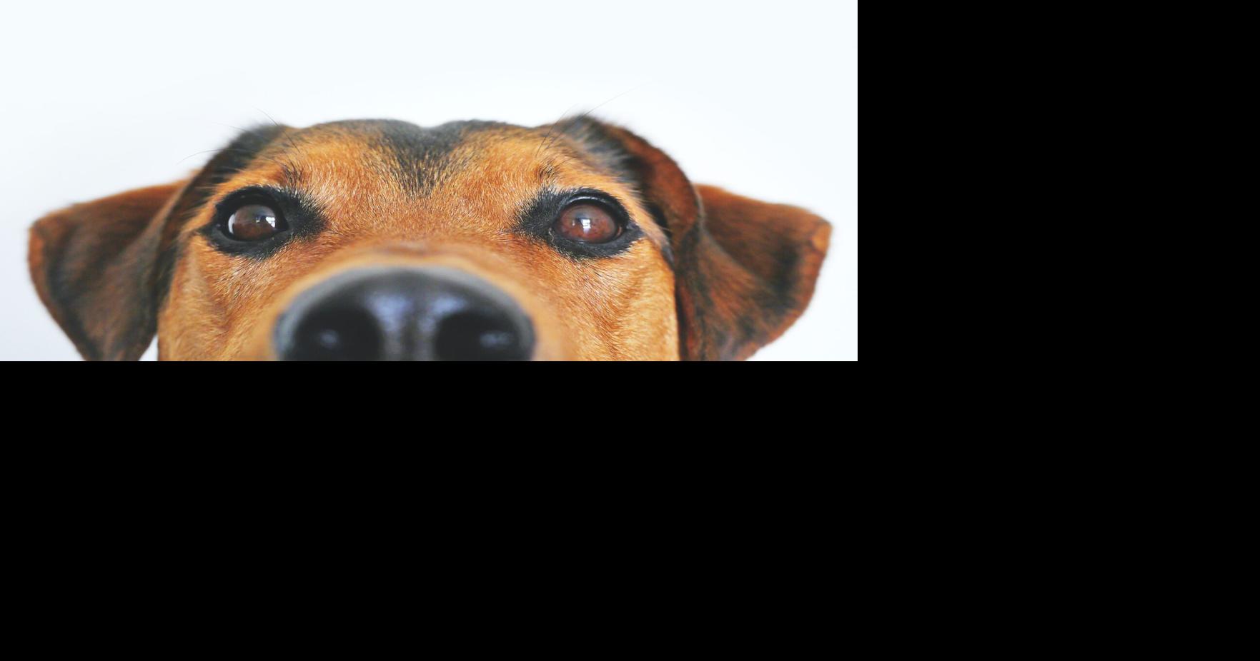 Wellness and Shot Clinic takes place Jan 6