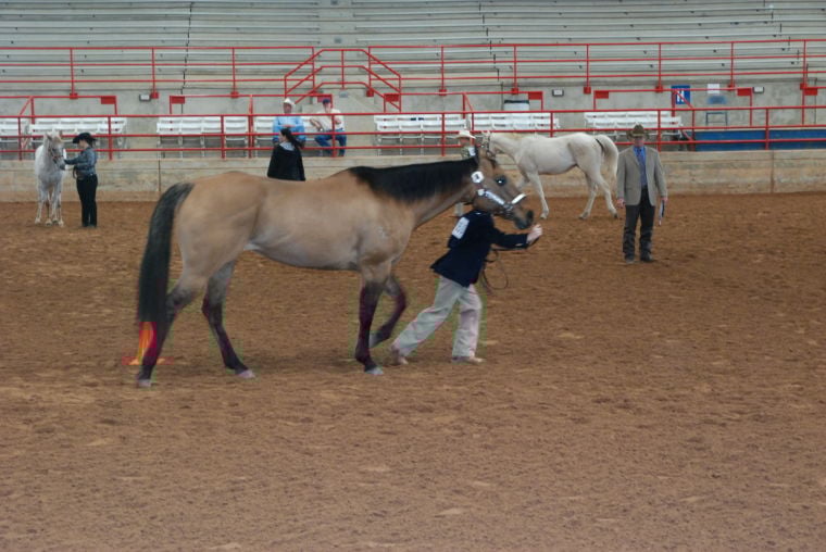 DSC_3542.JPG