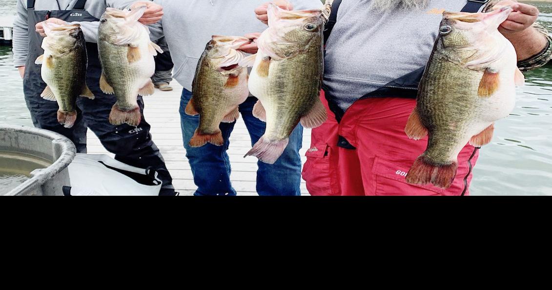 🎣 Bass Fishing  Texas rig bass fishing in Orlando retention