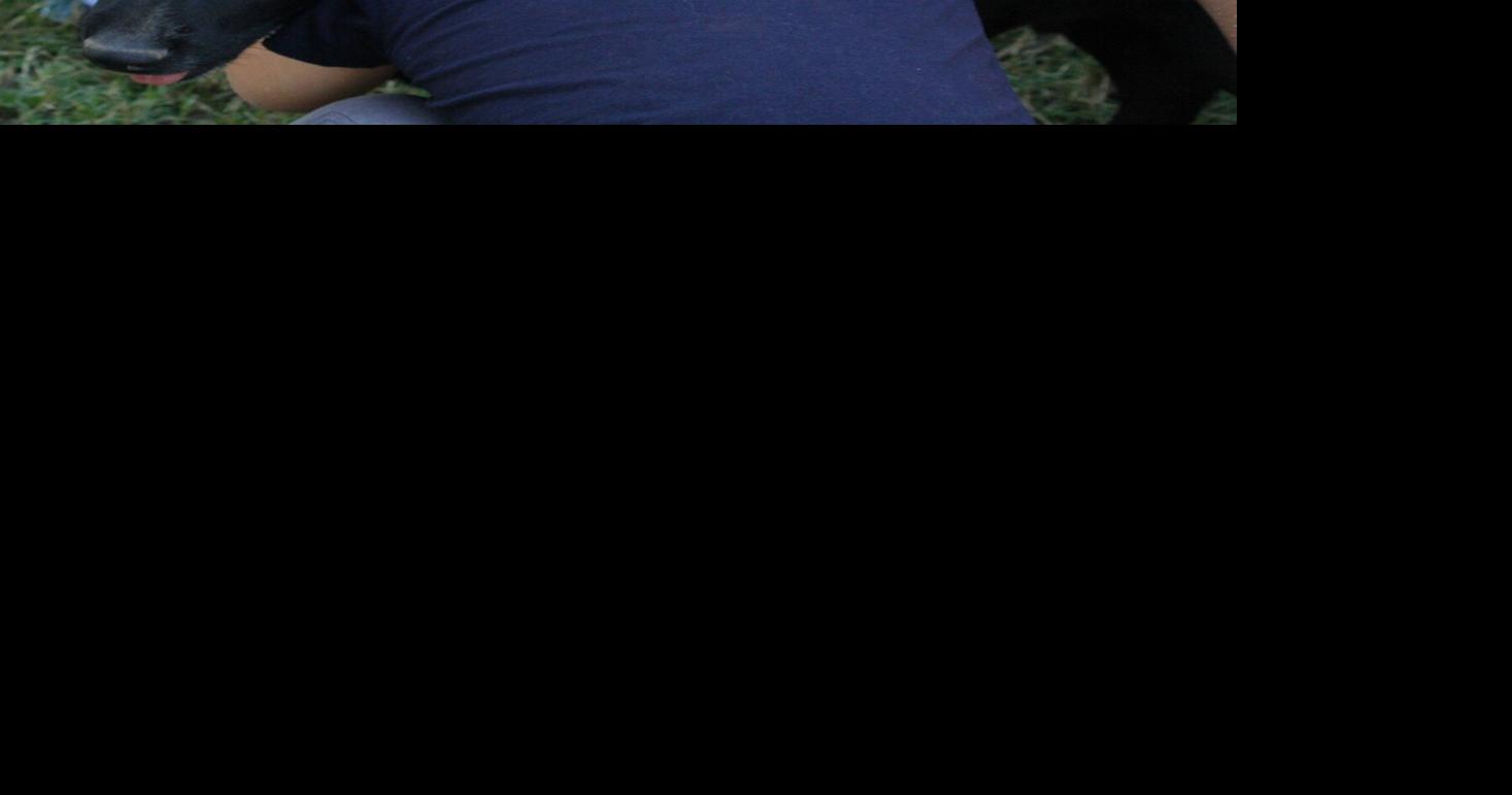 Local animal shelters need fosters News