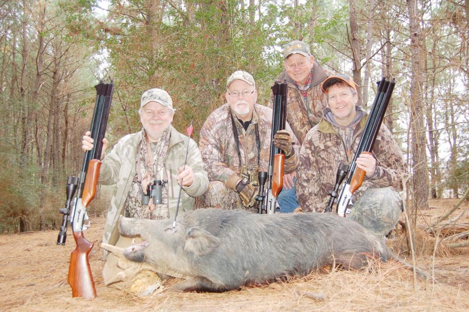 hog hunting with airguns sports