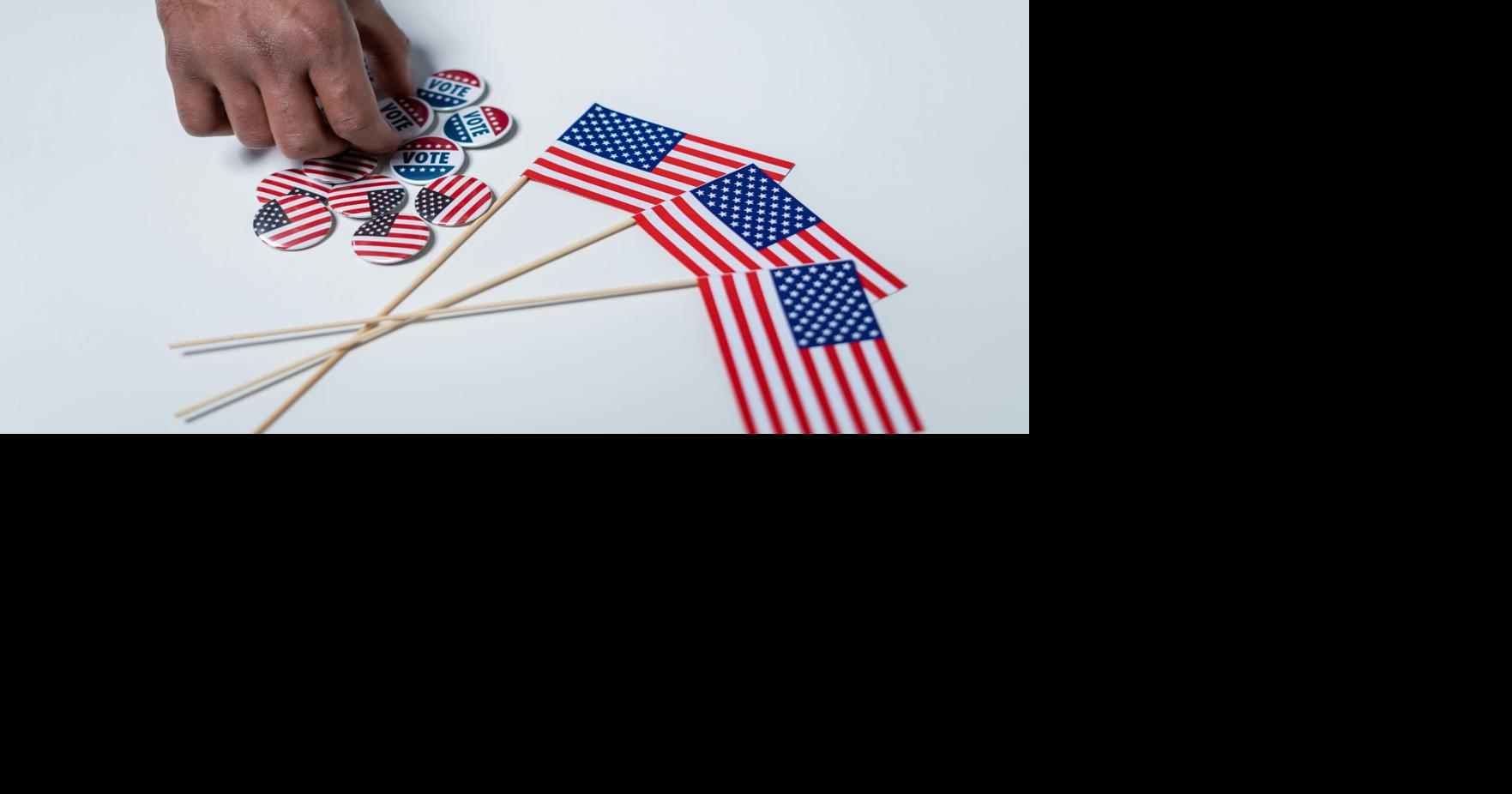 Henderson County Primary Election Results for Local Races