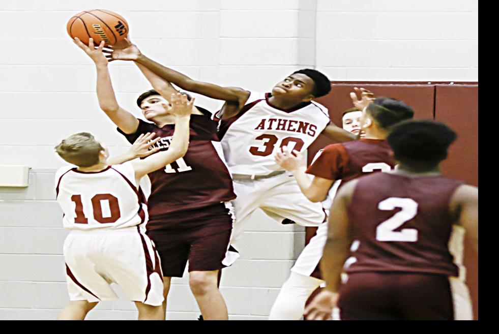 Ams Hornets Finish Games 1 3 Against Palestine Sports
