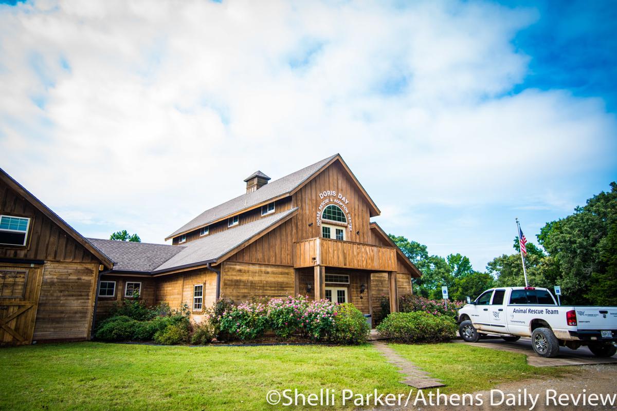 Animal Sanctuary Experience Saturday News Athensreview Com