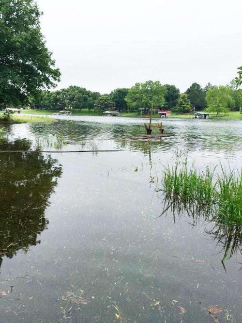 East Texas Fishing Report Sports Athensreview Com