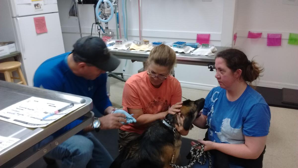 Friends of the Animals to host vaccination clinic Saturday ...