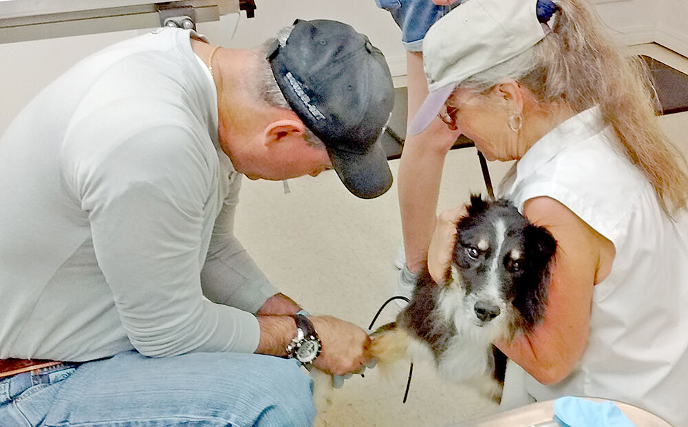 Friends of the Animals to host clinic Saturday | News 