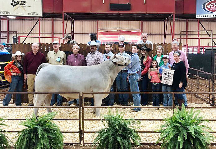 athens livestock commision