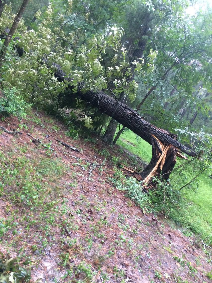 Huntsville Harvey Damage - Crowd Sourced