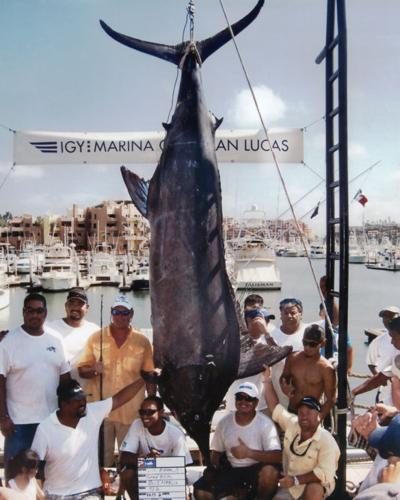 Angler needs 28 hours to land huge marlin, News