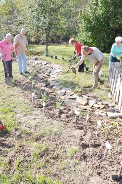 Irises Planted At East Texas Arboretum Local News Athensreview Com