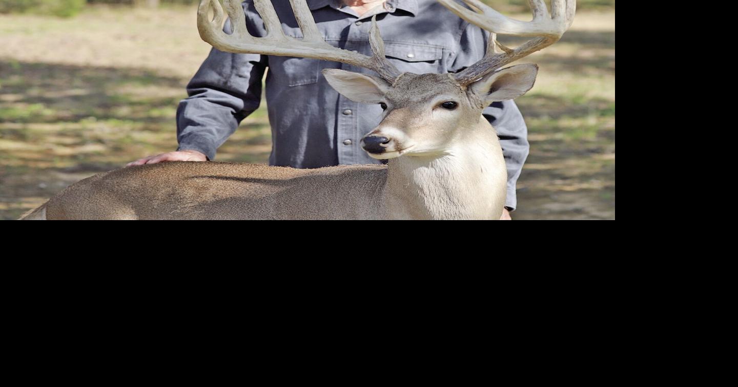 East Texas breeder, TPWD clash on the fate of 500 white ...