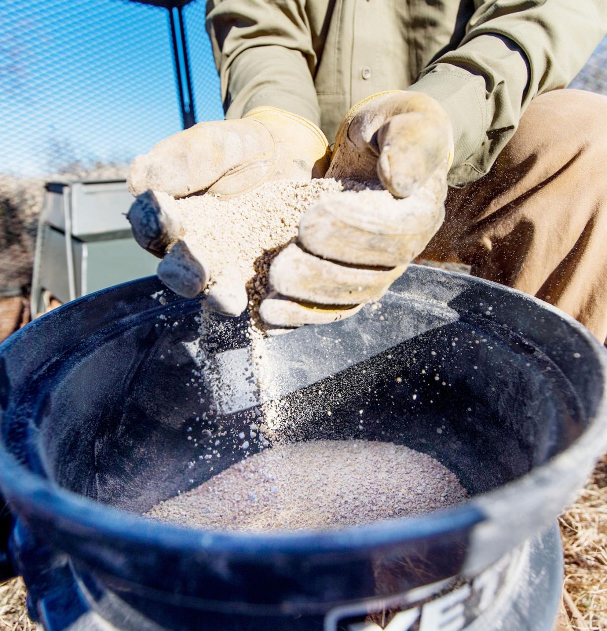 QuailGuard For the good of the quail Sports