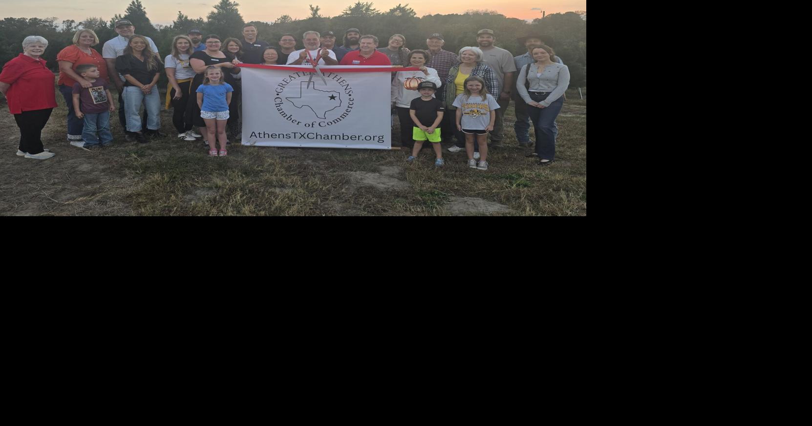 Athens Christmas Tree Farm Opens