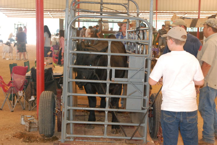 DSC_3633.JPG