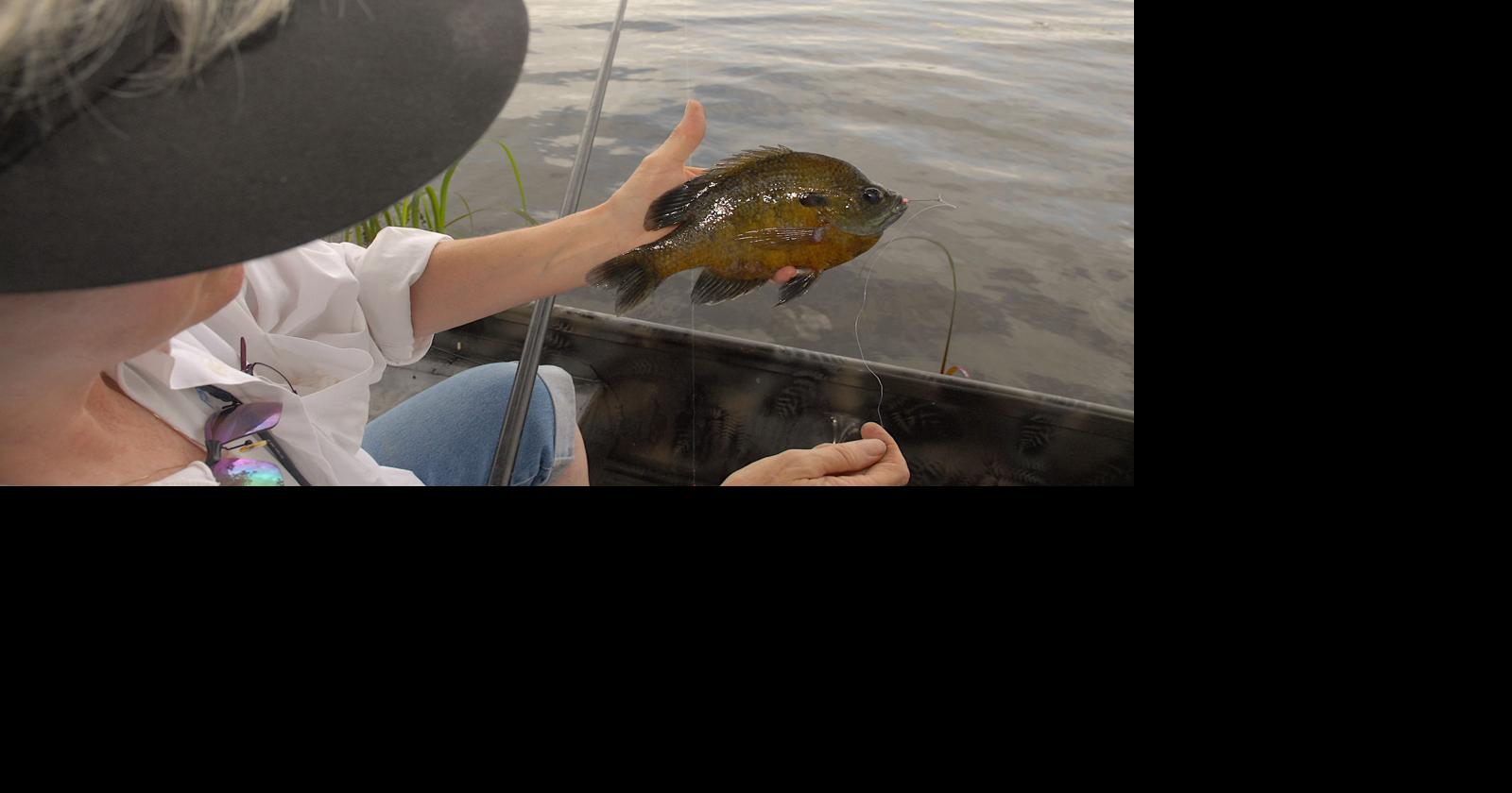OUTDOORS: Pint-size sunfish are big on fun, fast on action, Sports