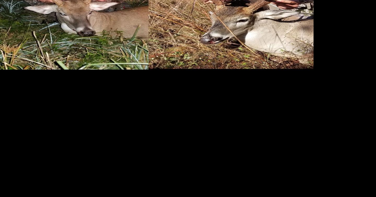 TPWD’s drawn hunts program to offer quality for less, around 10K ...