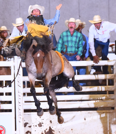 Johnson heading to National High School Finals Rodeo | Sports ...